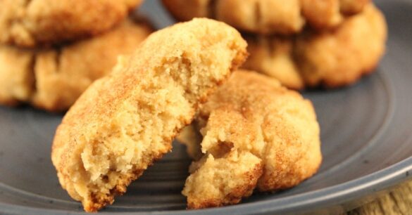 Low Carb Snickerdoodles